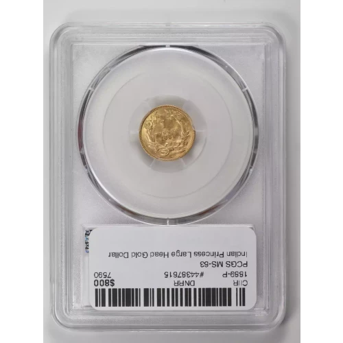 1889 G$1 (3)