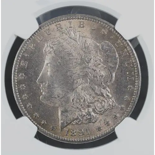 1891 CC VAM-3 SPITTING EAGLE (2)