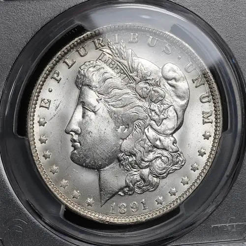 1891-O $1 (2)