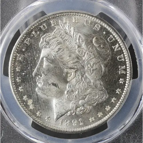 1891-O $1 (4)