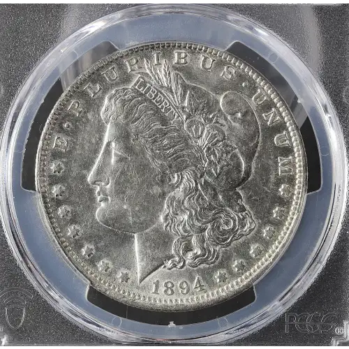 1894-O $1 (3)
