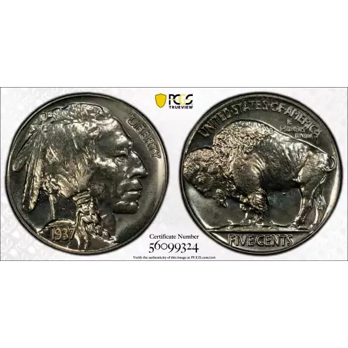 1937 5C (2)