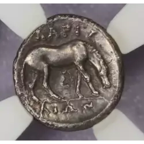 Ancient Greek Coin (4)