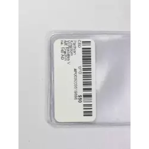 Ancient Greek Coin (3)