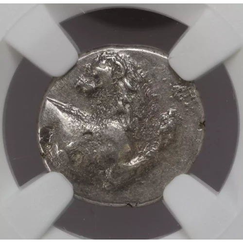 Ancient Greek Coin (2)