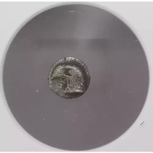 Ancient Greek Coin (2)