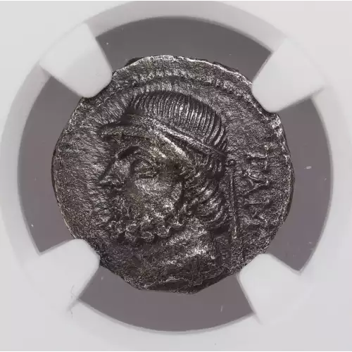 Ancient Greek Coin (4)