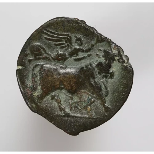 Ancient Greek Coin (2)