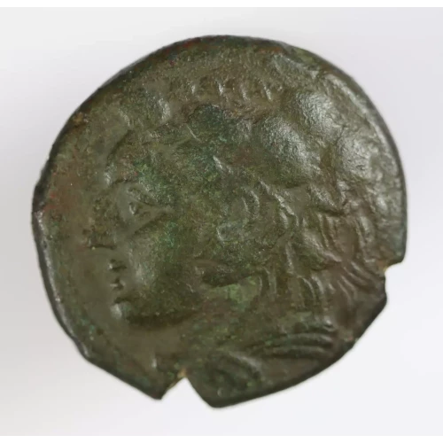 Ancient Greek Coin (2)