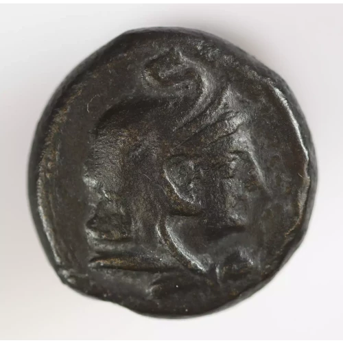 Ancient Greek Coin