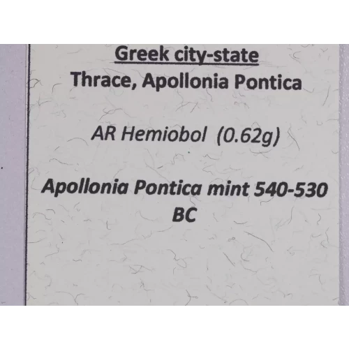 Ancient Greek Coin (5)