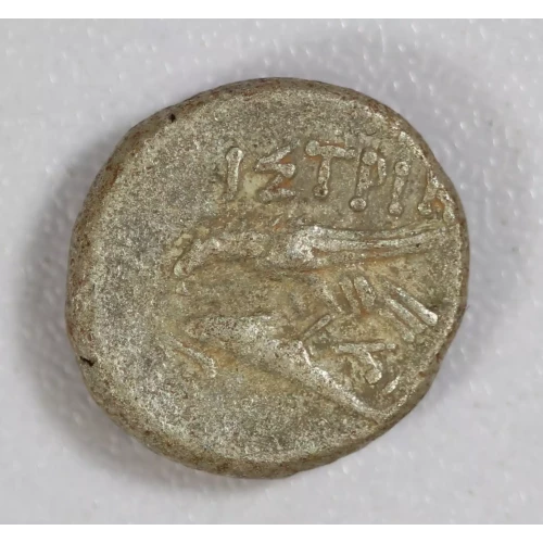 Ancient Greek Coin (2)