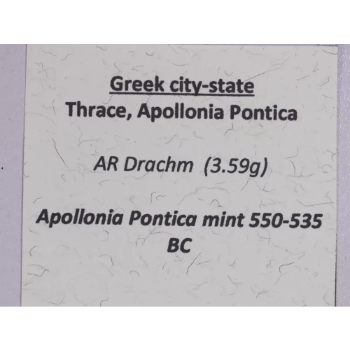 Ancient Greek Coin (5)