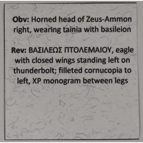 Ancient Greek Coin (5)