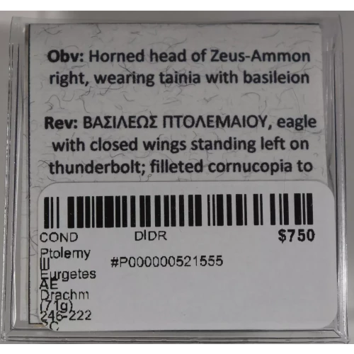 Ancient Greek Coin (4)