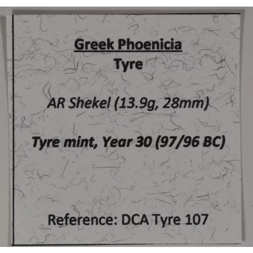 Ancient Greek Coin (3)