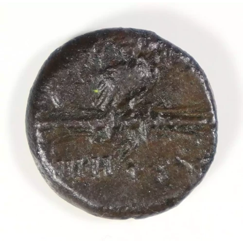 Ancient Greek Coin (2)