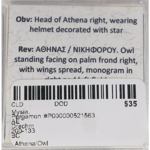 Ancient Greek Coin (4)