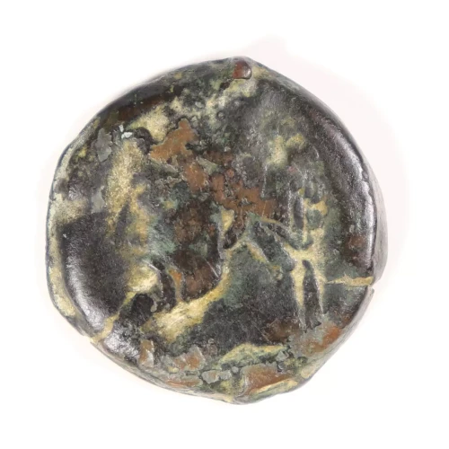 Ancient Greek Coin (2)