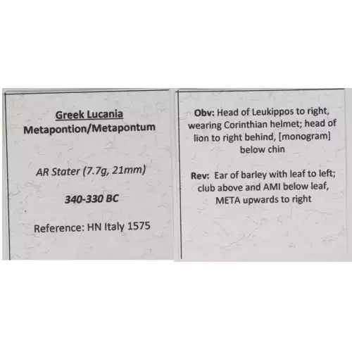 Ancient Greek Coin