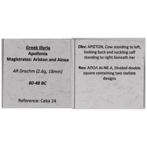 Ancient Greek Coin