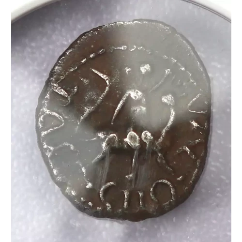 Ancient Greek Coin