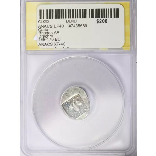 Ancient Greek Coin
