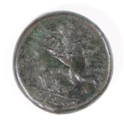 Ancient Greek Coin (2)