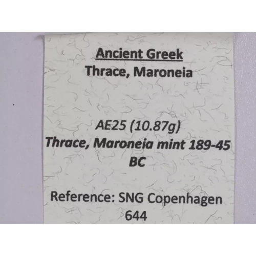 Ancient Greek Coin (5)