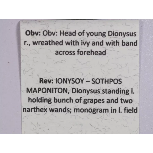Ancient Greek Coin (5)