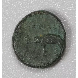 Ancient Greek Coin
