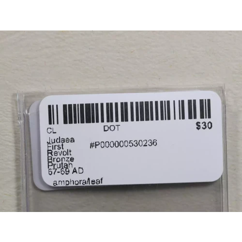 Ancient Greek Coin (3)