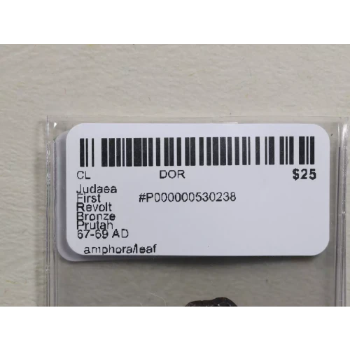 Ancient Greek Coin (3)