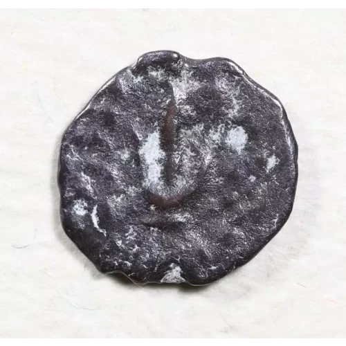 Ancient Greek Coin (2)