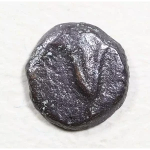 Ancient Greek Coin (2)