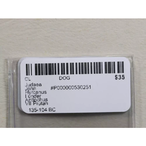 Ancient Greek Coin (3)