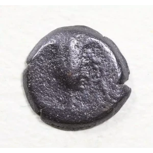 Ancient Greek Coin