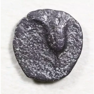 Ancient Greek Coin
