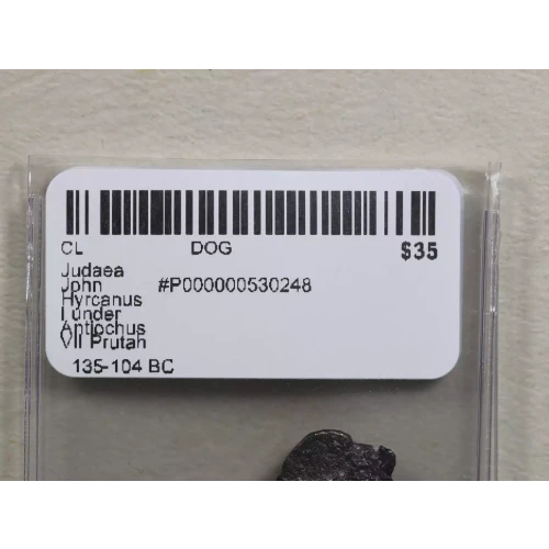 Ancient Greek Coin (3)