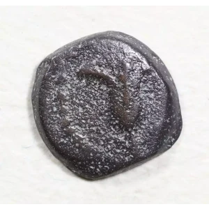 Ancient Greek Coin