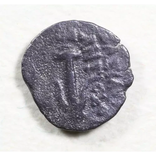 Ancient Greek Coin (2)