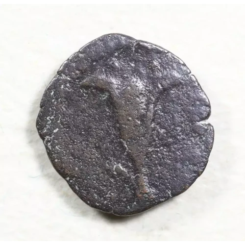 Ancient Greek Coin (2)