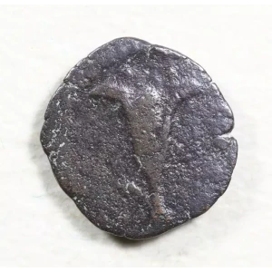 Ancient Greek Coin (2)
