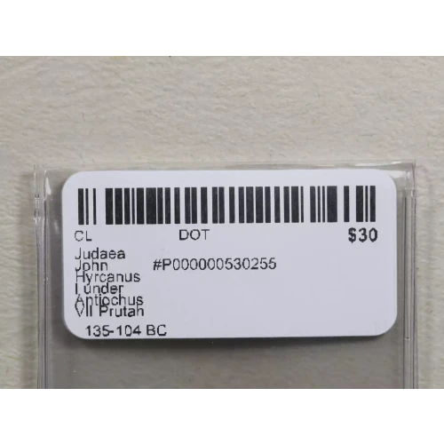 Ancient Greek Coin (3)