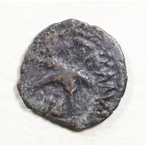 Ancient Greek Coin (2)