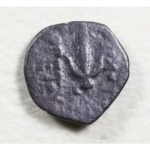 Ancient Greek Coin (2)
