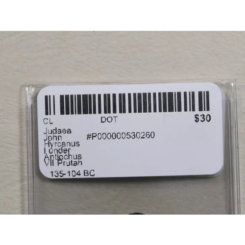 Ancient Greek Coin (3)