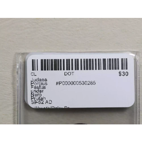 Ancient Greek Coin (3)