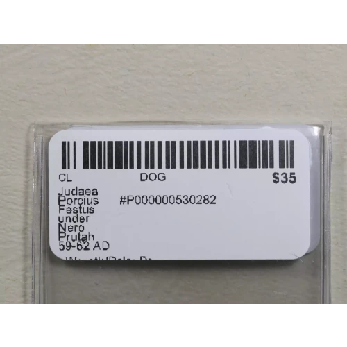 Ancient Greek Coin (3)