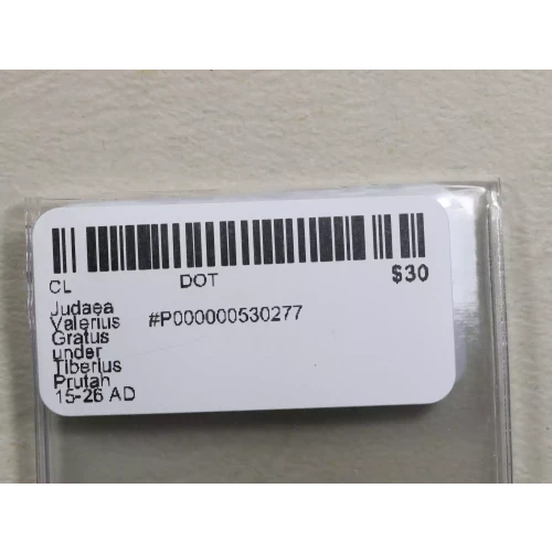 Ancient Greek Coin (3)